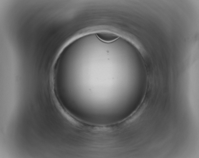 X0000114411526200910231122
