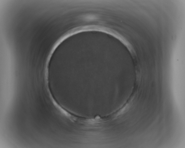 X0000114411527200910231122