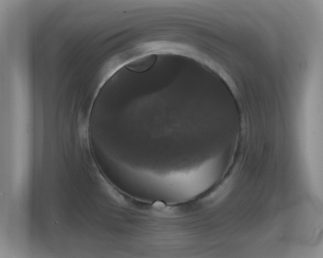 X0000114411529200910231122