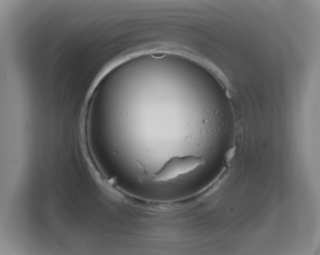 X0000114411530200910231122