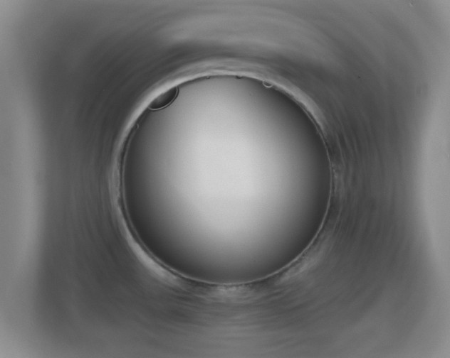 X0000114411531200910231122