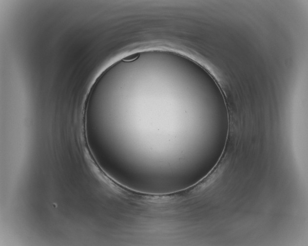 X0000114411534200910231122
