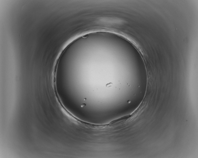 X0000114411535200910231122