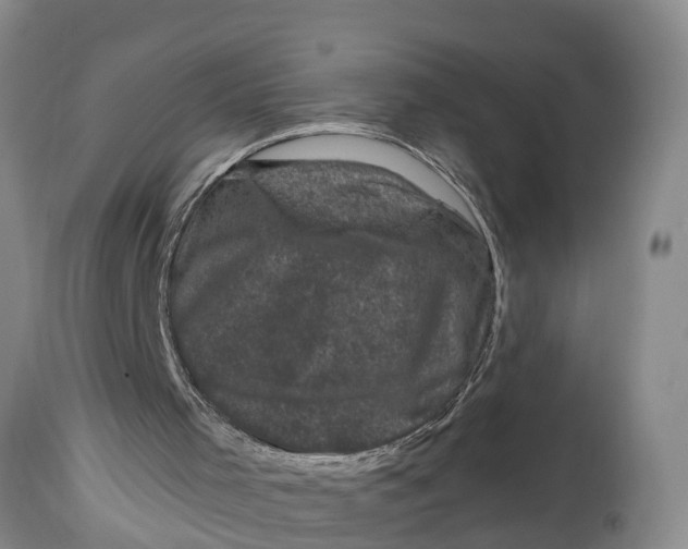 X0000114410001200911061612