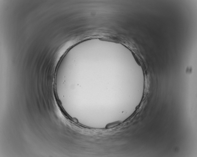 X0000114410003200911061612