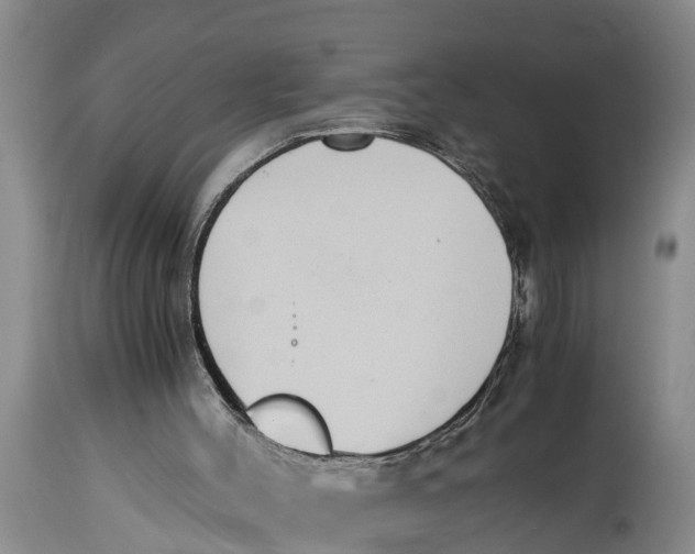 X0000114410004200911061612