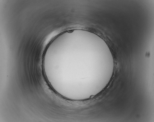 X0000114410006200911061612