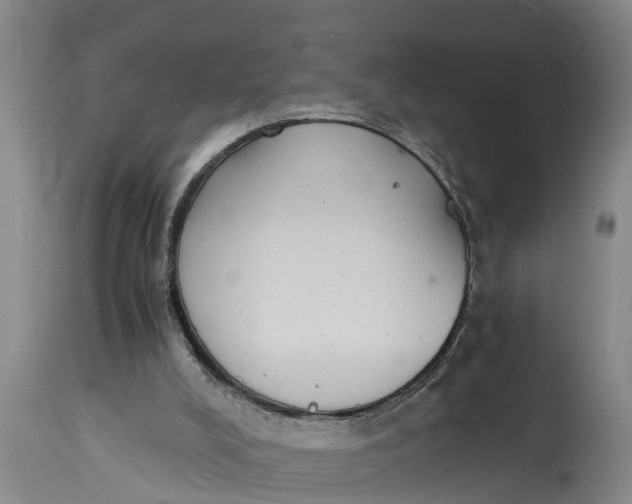 X0000114410008200911061612