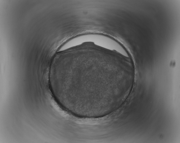 X0000114410009200911061612