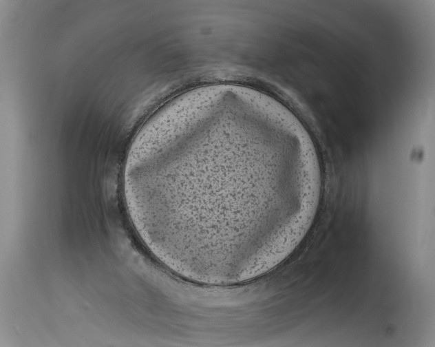 X0000114410010200911061612