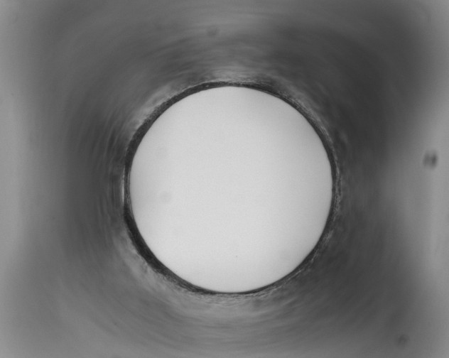 X0000114410011200911061612