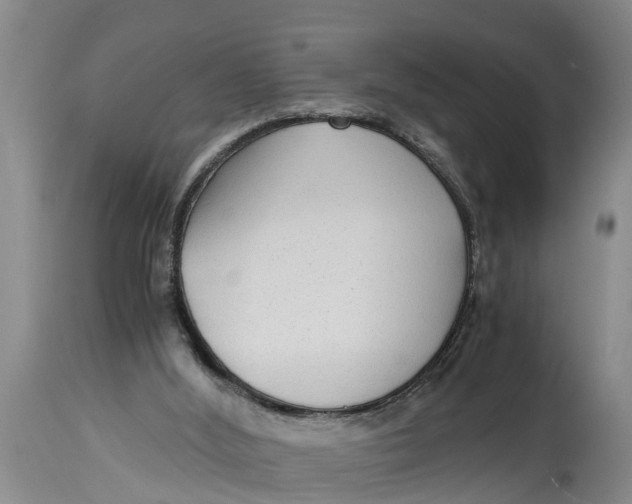 X0000114410012200911061612