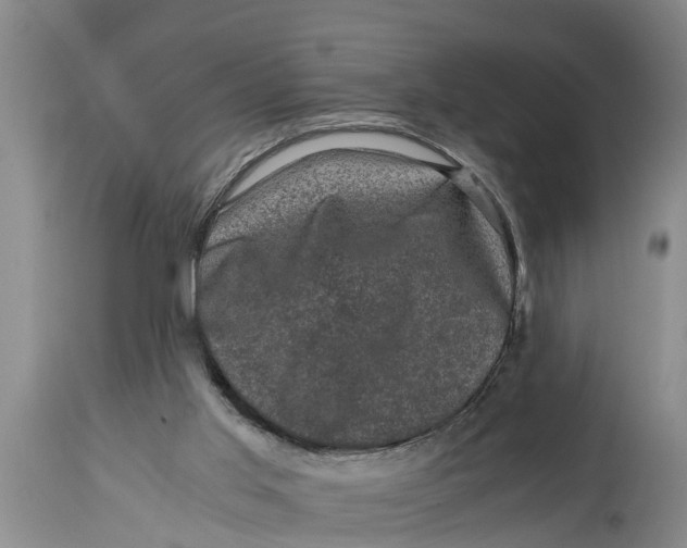 X0000114410013200911061612