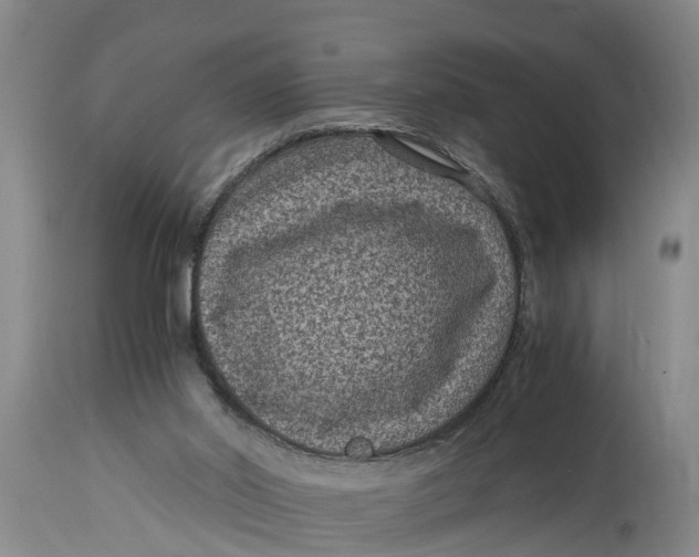 X0000114410014200911061612