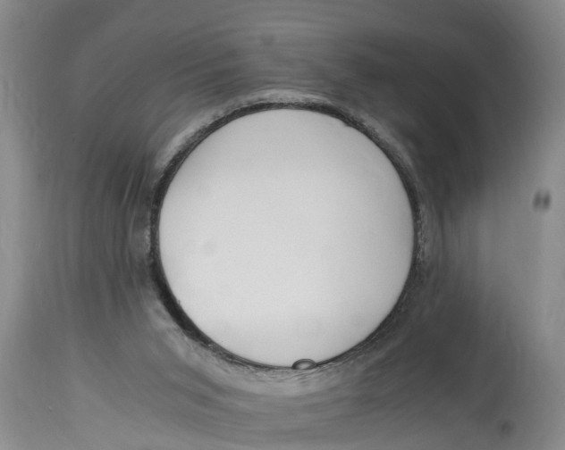 X0000114410015200911061612