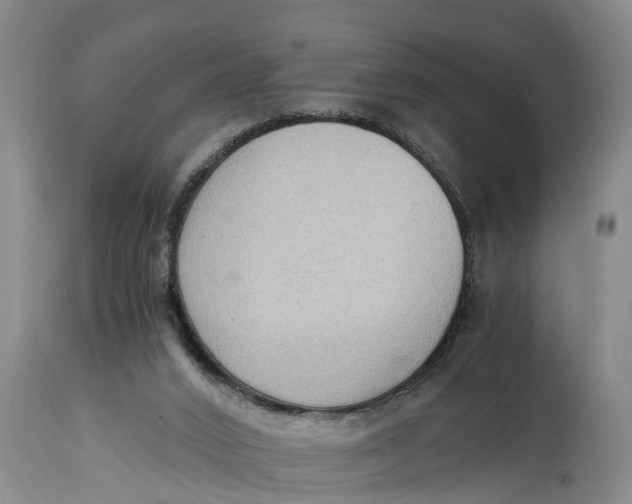 X0000114410016200911061612