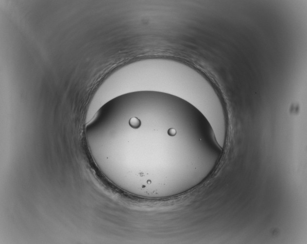 X0000114410017200911061612