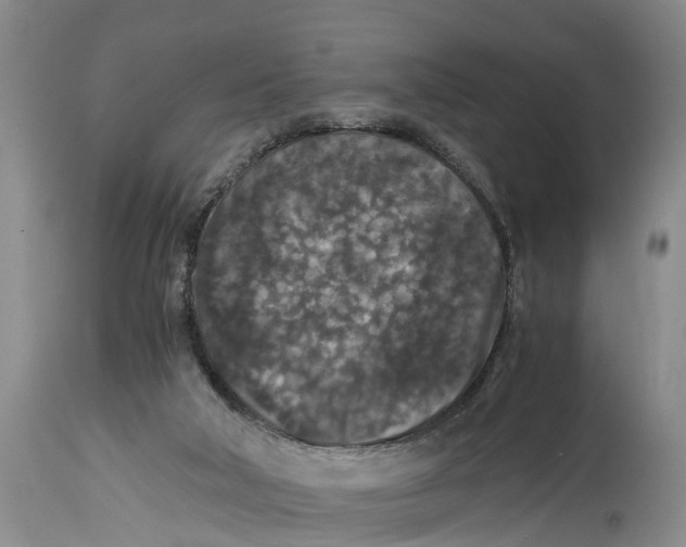 X0000114410018200911061612