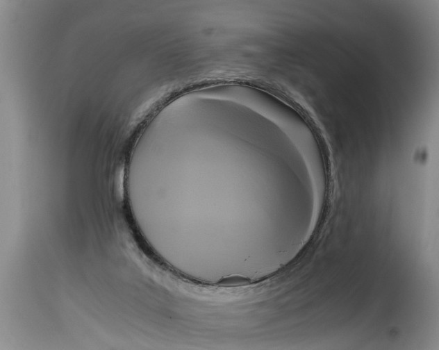 X0000114410019200911061612