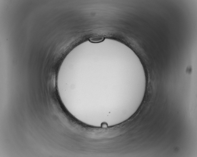 X0000114410021200911061612