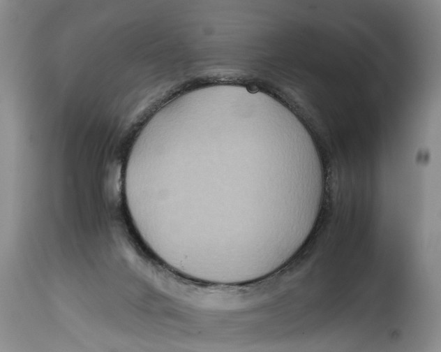 X0000114410024200911061612