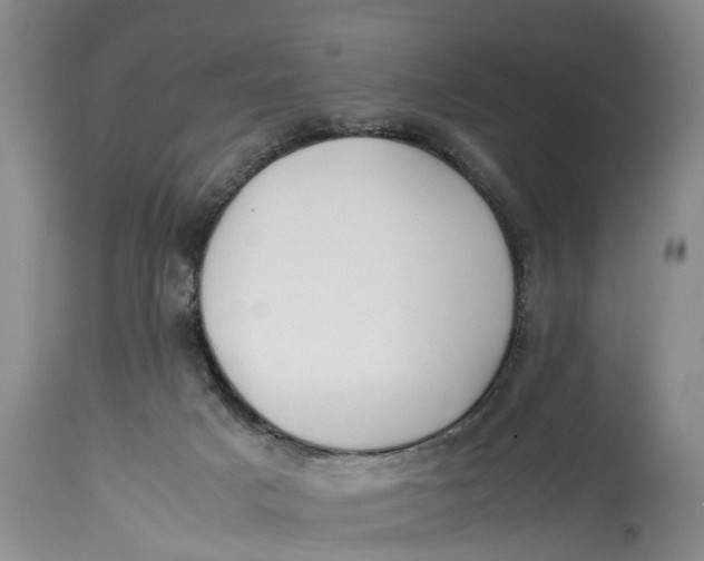 X0000114410025200911061612