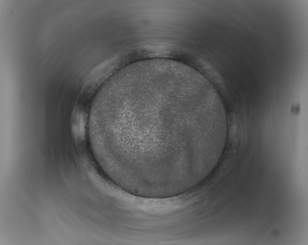 X0000114410026200911061612