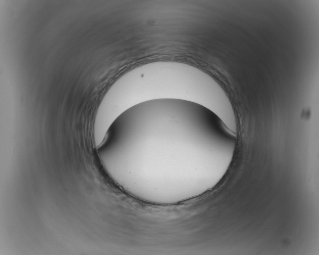 X0000114410029200911061612