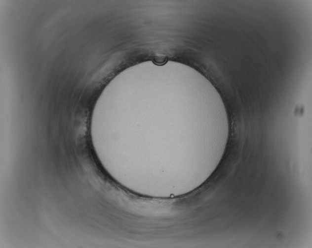 X0000114410032200911061612