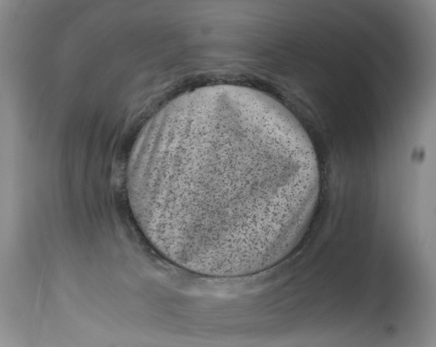 X0000114410033200911061612