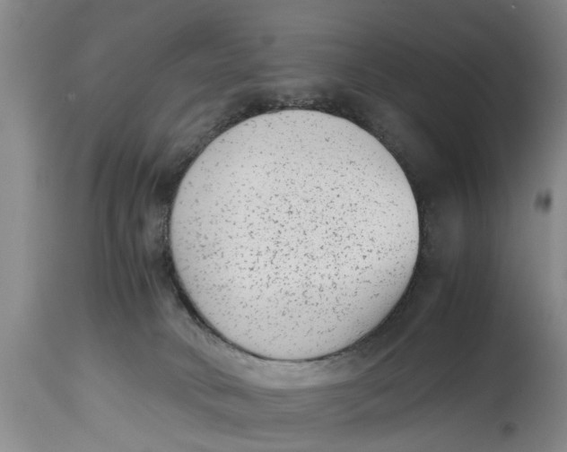 X0000114410034200911061612