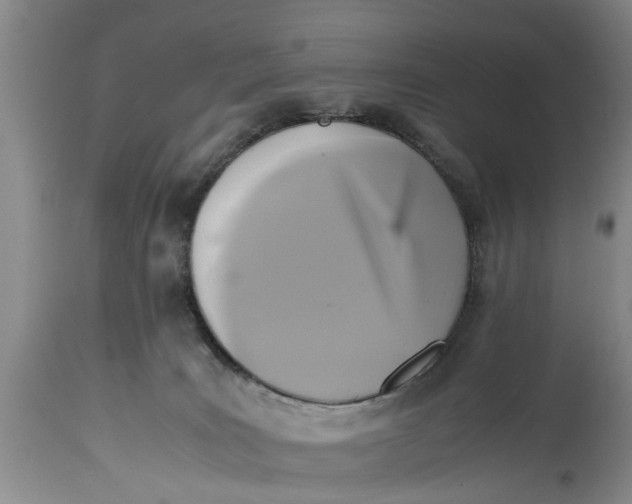 X0000114410035200911061612