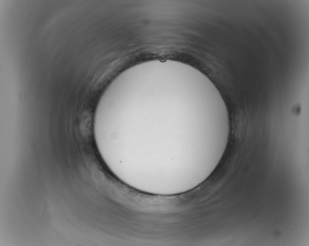 X0000114410036200911061612