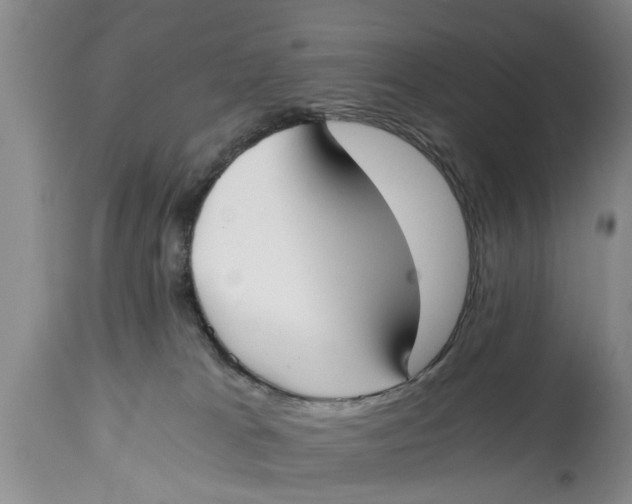 X0000114410037200911061612