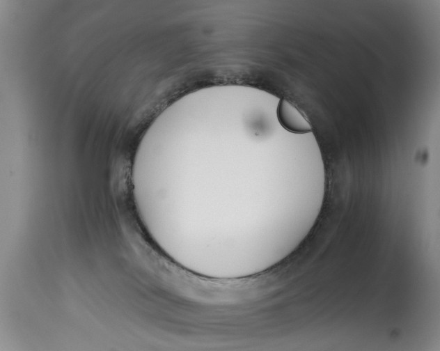 X0000114410038200911061612