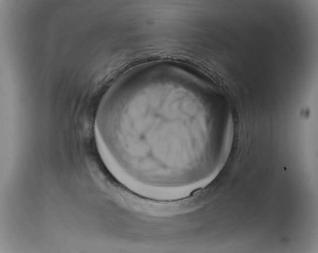 X0000114410039200911061612