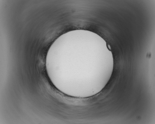 X0000114410040200911061612