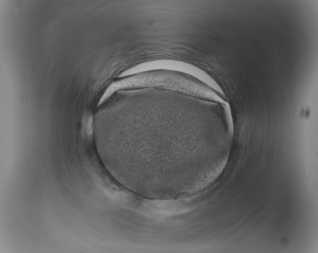 X0000114410041200911061612