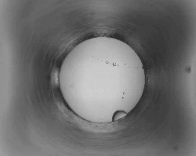 X0000114410042200911061612