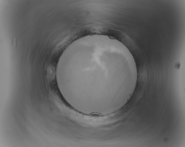 X0000114410043200911061612