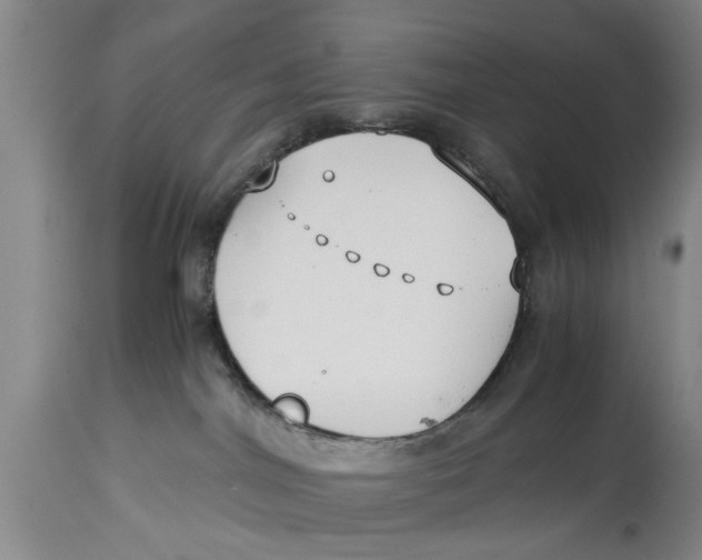 X0000114410044200911061612