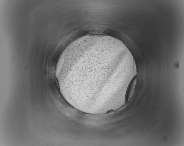 X0000114410045200911061612