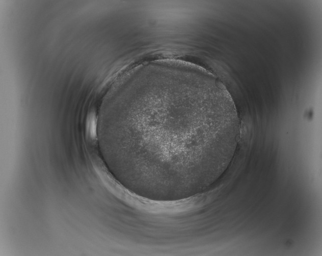 X0000114410046200911061612