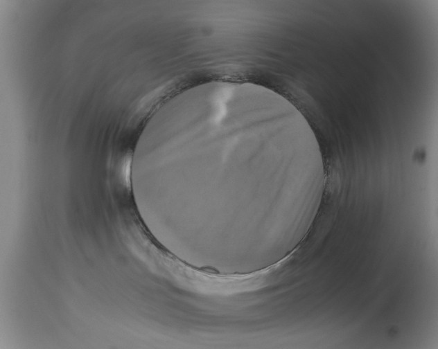 X0000114410047200911061612