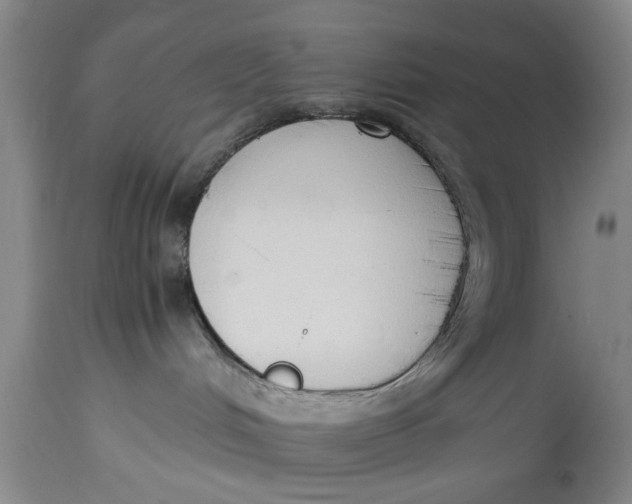 X0000114410048200911061612