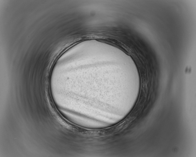 X0000114410049200911061611