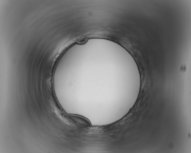 X0000114410050200911061611