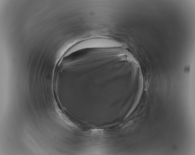 X0000114410052200911061611