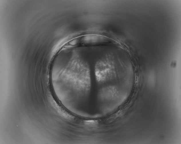 X0000114410053200911061611