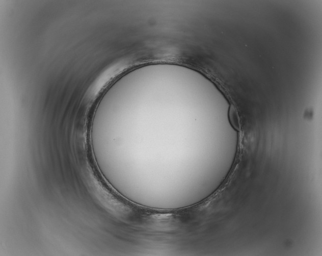 X0000114410054200911061611